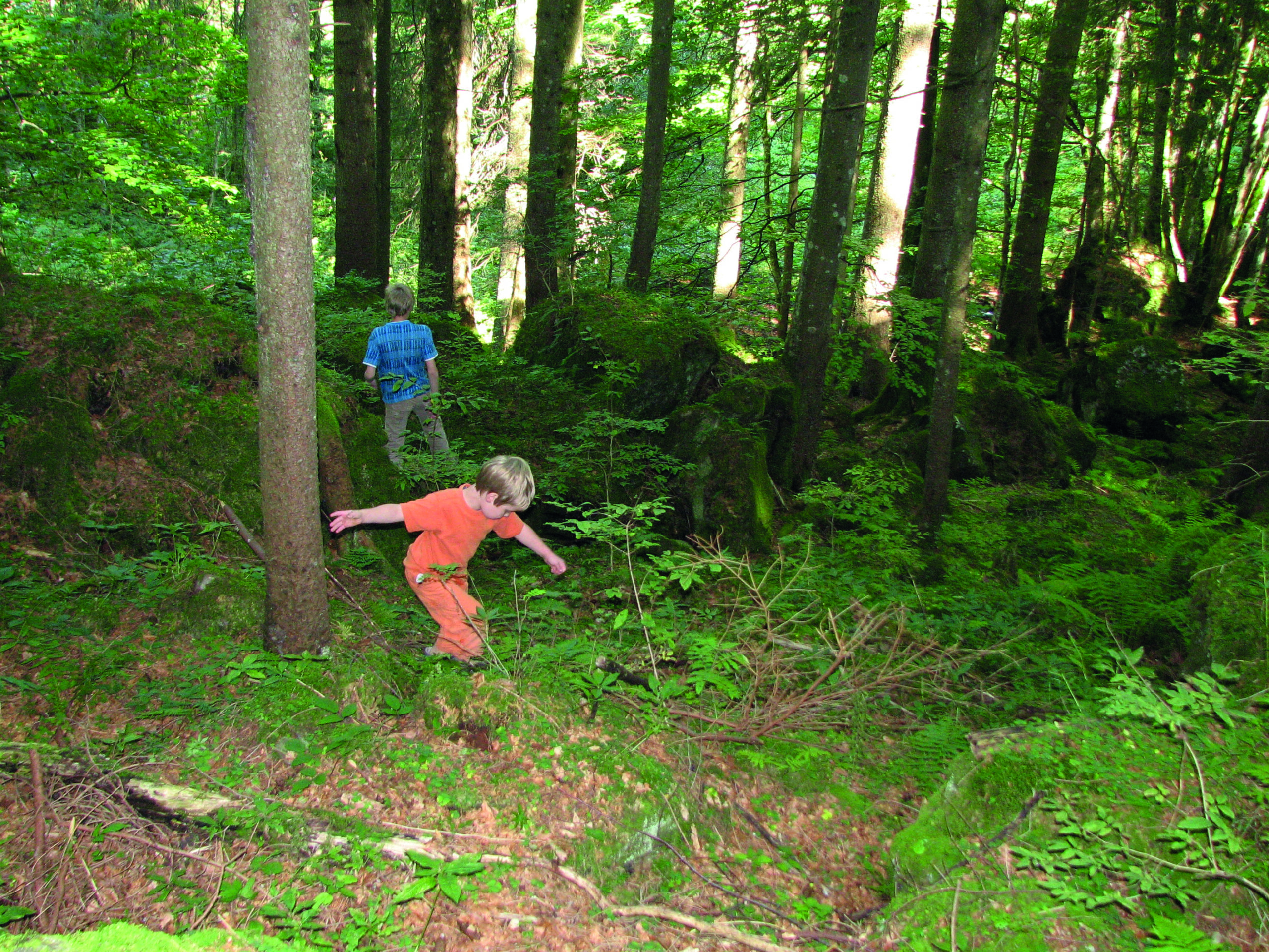 Kindergeburtstag mit dem Naturschutzbund