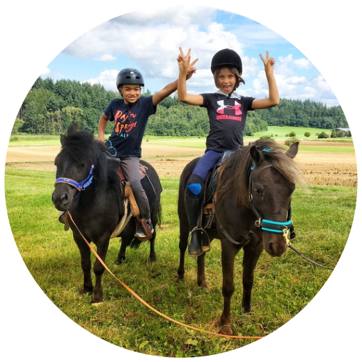 Bibervalley-Ponyschule