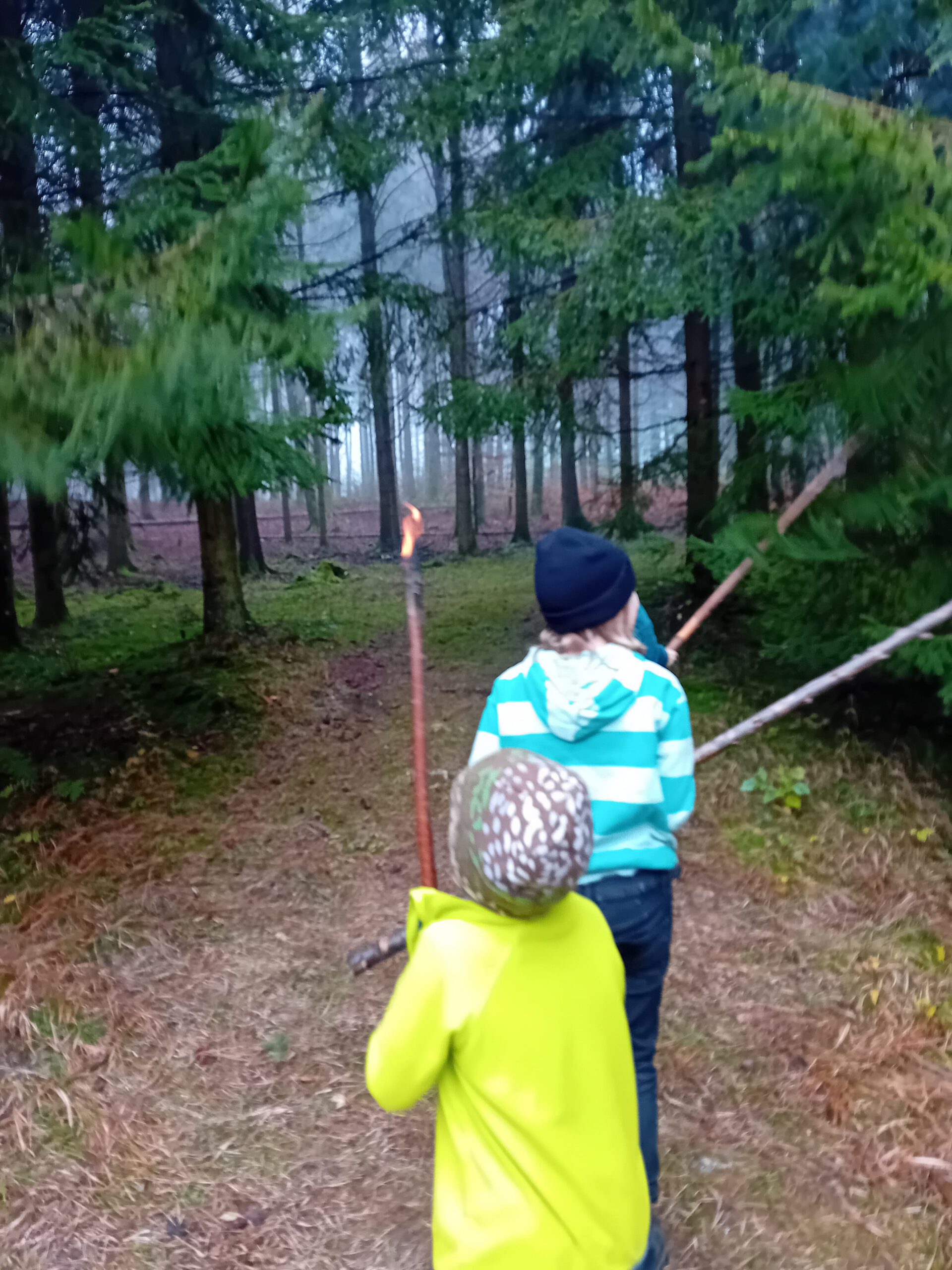 Kindergeburtstag im Wald