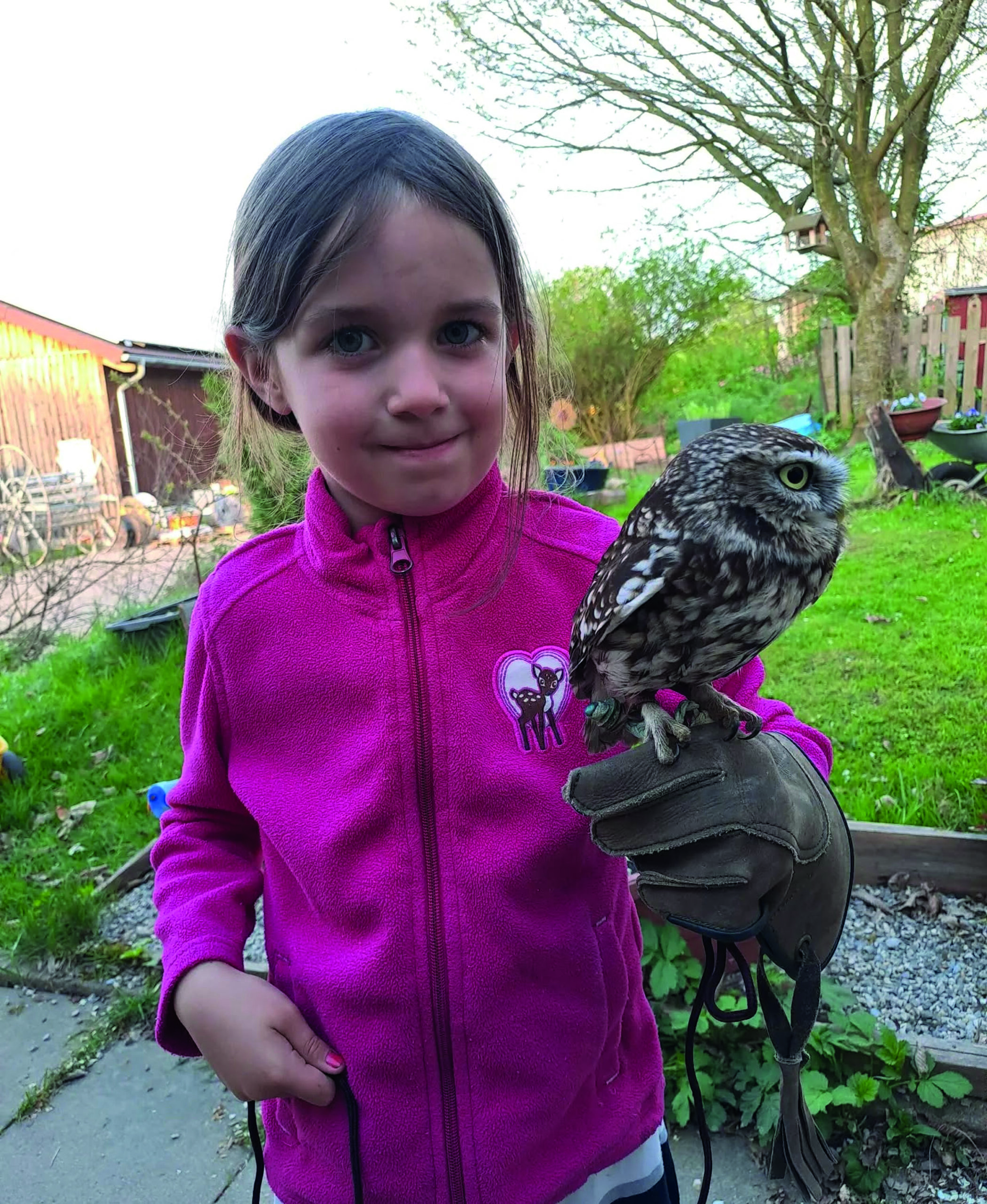 Greifvogelpark Menter